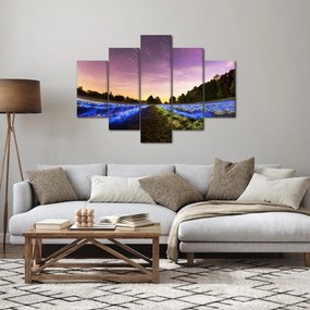 Színes mező képe (150x105 cm)