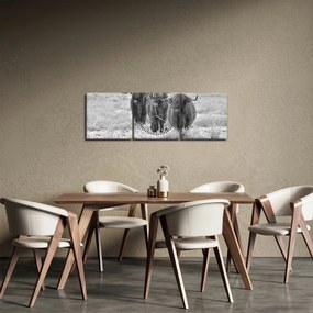 Kép - Skót tehenek, fekete-fehér (órával) (90x30 cm)