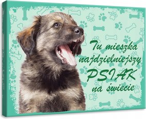 Vászonkép 70x50 Kiskutya kutya portré öröm játék csont mancsok türkiz pozitív