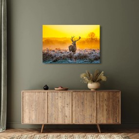 Kép - Szarvas napfelkeltekor (90x60 cm)