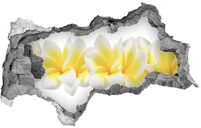 3d lyuk fal dekoráció Plumeria nd-b-43446783