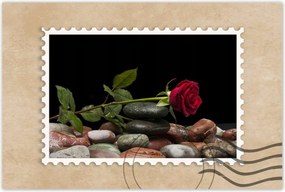 Poszterek 120x80 Spa Wellness Relaxáció Víz