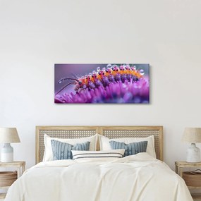 Kép - Caterpillar (120x50 cm)