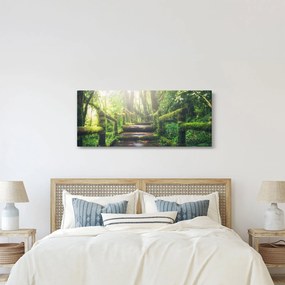Kép - falépcsők az erdőben (120x50 cm)