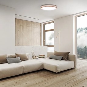 Solight WO8008 - LED dimmelhető lámpa WOODY LED/60W/230V 3000-6500K, 50 cm, DO