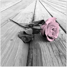 Poszterek 140x140 Púderrózsaszín Old pink Rose