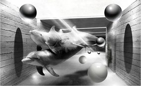 Fotótapéta absztrakt delfinek fotótapéta 416 x 254