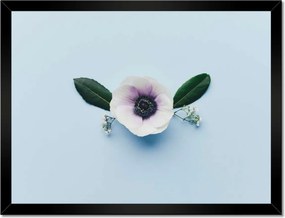 Poszterek keretben 40x30 Pipacsvirág