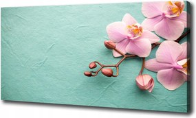 Fotóvászon festmény falra Orchidea 120x60 cm