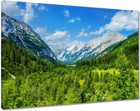 Vászonkép 100x70 Hegyi táj gyönyörű felhőkkel Fák a hegyekben