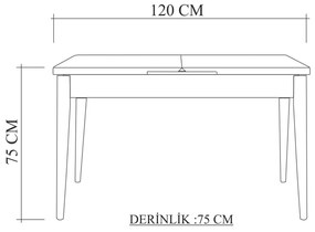 Étkezőgarnitúra(Kihúzható asztal, szék) (3 db) Santiago 1070 - Atlanti fenyő, Zöld