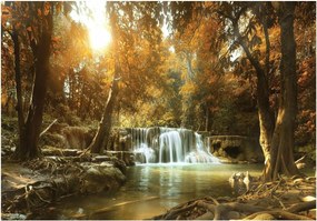 3D fotótapéta vízesés erdő fák nap 254 x 184 10470V4