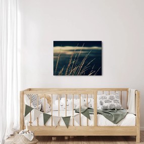 A füvek képe (70x50 cm)