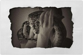 Poszterek 90x60 Aktok Meztelenség Szerelem Fotó