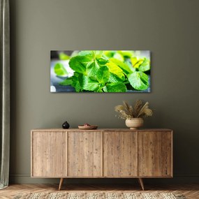 A menta képe (120x50 cm)