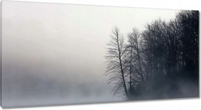 Vászonkép 115x55 Ködös erdő Tél
