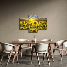 Kép - Napraforgók naplementében (90x60 cm)
