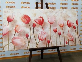 Kép lazac lazac rózsaszín tulipánok