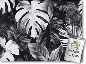 Fotótapéta Flizelina Szürke Monster Levelek Palma Glamour 250x175 ragasztó