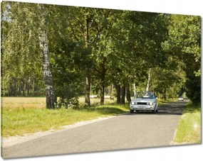 Képek 100x70 Golf I 1 VolksWagen