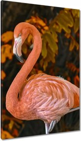 Vászonkép 80x120 Pelikan a természetben