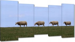 Vászonkép 150x80 Juh legeltetés Bárányok