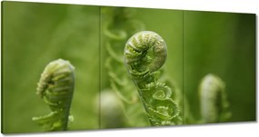 Vászonkép 180x90 Páfrányok Erdő Zöld levél