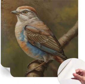 Öntapadós Dekoratív Fotótapéta Hálószobába Madár portré 250x250 cm