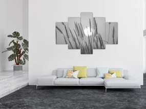 Kép - Mező naplementében (150x105 cm)