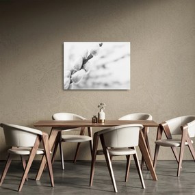 Üveg kép - A tavasz kezdete (70x50 cm)
