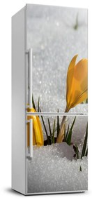 Hűtő matrica Sárga krókuszok FridgeStick-70x190-f-103983821