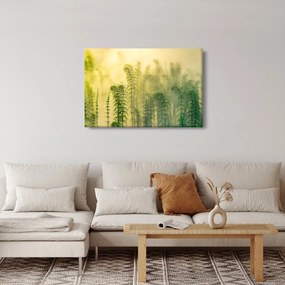 Kép - Részlet a tavaszi ködös természetből (90x60 cm)