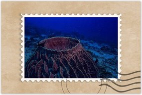 Poszterek 120x80 Víz alatti tengeri élet