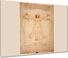 Vászonkép 80x60 Vitruvius ember