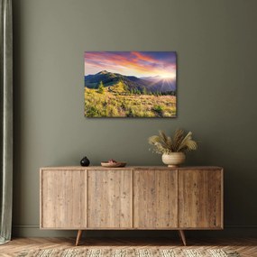 Kép - Erdei táj (70x50 cm)