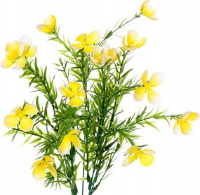 Orbáncfű csokor apró sárga művirágok