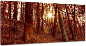 Festmények 120x60 Tájkép Látvány