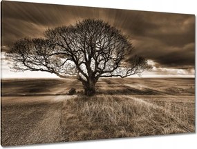 Festmények 120x80 Tájkép varázslattal