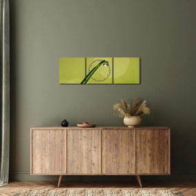 Víz csepp a fűben képe (órával) (90x30 cm)