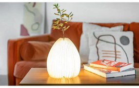 Walnut asztali lámpa és váza egyben - Gingko