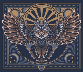 Illusztráció Flying owl poster., Serhii Yakovliev