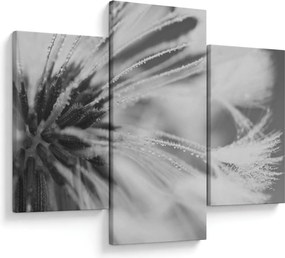 Kép - Pitypang (90x60 cm)