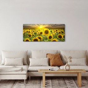 Kép - Napraforgók naplementében (120x50 cm)