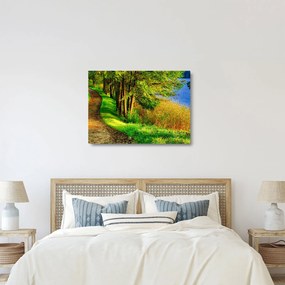A víz menti sétányok képe (üvegen) (70x50 cm)