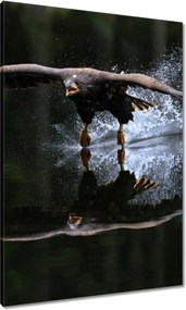 Vászonkép 70x100 Madarak