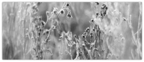 Kép - Wild Meadow (120x50 cm)