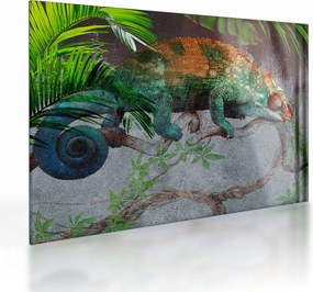 Kép - kaméleon (üvegen) (70x50 cm)