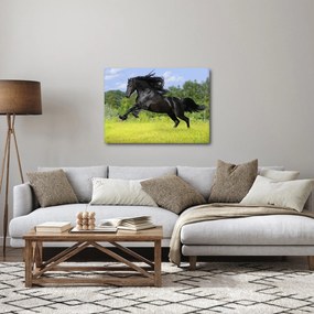 Kép - Ló hullámzó sörénnyel (70x50 cm)