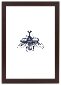 Gario Poszter Repülo bogár A keret színe: Barna, Méret: 70 x 100 cm