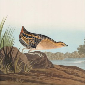 Fotótapéta Flizelin Dekoratív Hálószoba Természetes jelenet 250x250